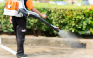 Pest Control Franchise Resale in Central CT Pest Control Franchise Resale in Central CT