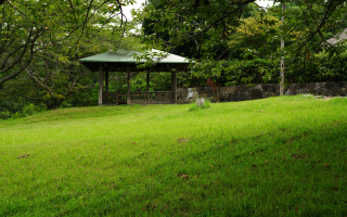 Lawn and Landscape Service Business Available! Lawn and Landscape Service Business Available!