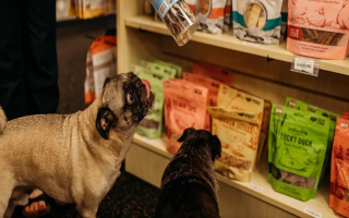 Natural Pet supply & Canine Rehab center Natural Pet supply & Canine Rehab center