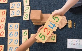 Profitable Montessori-Future of Early Childhood Ed Profitable Montessori-Future of Early Childhood Ed