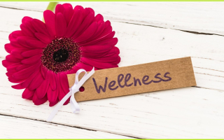 Profitable, established, home-based, national wellness coaching