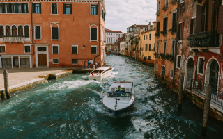 Established St. Johns Boat Tour Business Established St. Johns Boat Tour Business