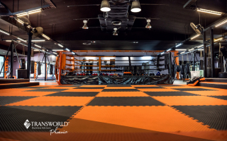 Established Fitness Studio with Recurring Revenue  Established Fitness Studio with Recurring Revenue