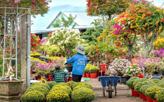 Greenhouse Business w/ Property, Priced to Sell