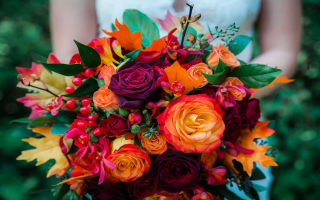 Under Contract - Popular Louisville Metro Area Florist