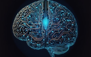 Therapeutic Rehab Tech Platform Recurring Revenue