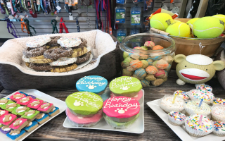 Established and Unique Pet Grooming Shop w/ Retail