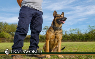 Well-Established Dog Training Business Well-Established Dog Training Business