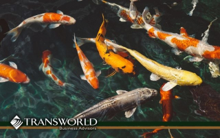 Unique Agricultural Opportunity Koi Farm Unique Agricultural Opportunity Koi Farm