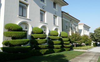 Well Established High End Residential Landscaping 