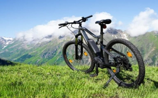 E-Bike Store in Desirable Palm Beach County