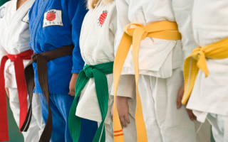 Profitable Martial Arts Franchise – 2nd Location A Profitable Martial Arts Franchise – 2nd Location A