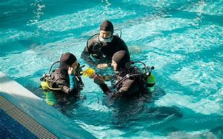 Niche Pool Repair Business for Sale