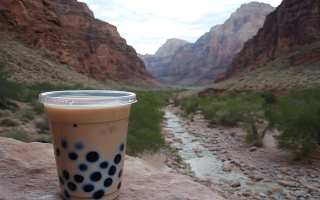 Gong Cha in Lone Tree Franchise for Sale! Keep Brand or Convert!