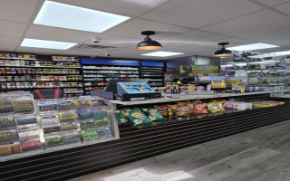 Gas Station and Mechanic Shop w/ House in Pavo, GA