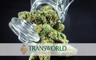 High-Growth Hemp Retail Store – Semi-Absentee 