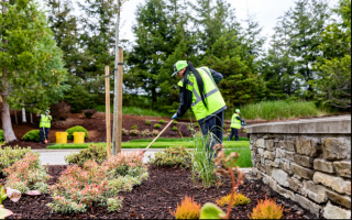 Steamboat Luxury Landscape & Nursery Company