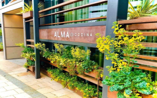  Buckhead Atlanta GA Peachtree Rd Restaurant