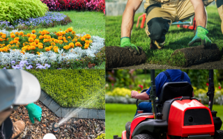 Premier SWFL Landscape & Lawn Care