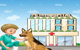 Animal Hospital With RE For Sale in South Jersey