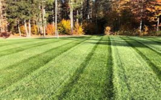 20  Yr - $650k Rev. - Lawncare and Snow Solutions 