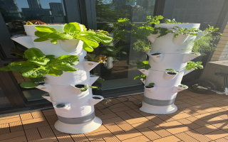 Turnkey Vertical Garden With Rapid Scale Potential