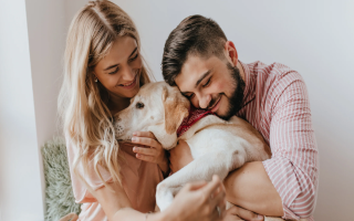 Pet Care & Retail Business – 15  Years of Success