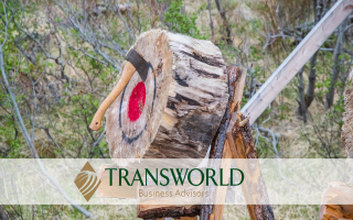 Modern Axe-Throwing Venue With Stylish Buildout