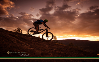 Established Local Retail/Service Operation 