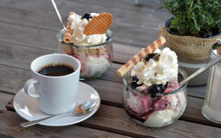 Cafe and Ice Cream Business for Sale in Longboat Key FL! Low Rent! Cafe and Ice Cream Business for Sale in Longboat Key FL! Low Rent!