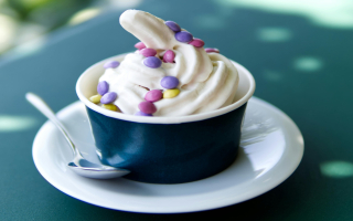 Frozen Yogurt and Ice Cream Business for Sale! Only $129,000!