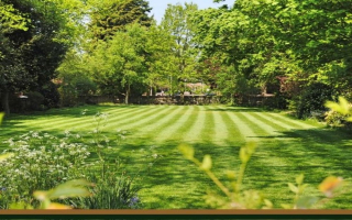 Lawn Maintenance and Only Lawn - Commercial Lawn Maintenance and Only Lawn - Commercial