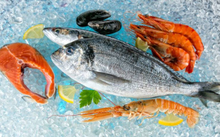 N2230 Established Multi-Location Seafood Market & Restaurant