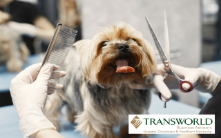  Established Pet Grooming Salon – Turnkey Business