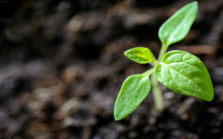 Quality Irrigation Equipment Manufacturer with Real Estate & Inventory Included