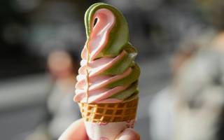 Independent Frozen Yogurt Shop in Christiansburg Virginia