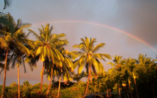 Turnkey Kona Coffee Farm & Brand – Multi-Generational Legacy with Historic Mill