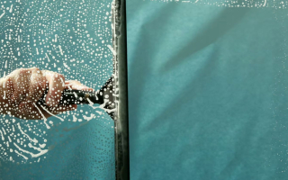 Well-Established Window Cleaning Business with Loyal Client Base – Owner-Operator Friendly