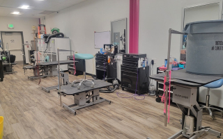 Dog Grooming Business for Sale