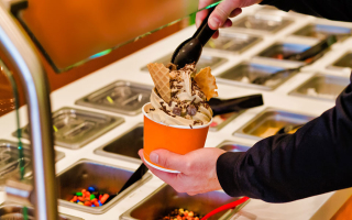 Frozen Yogurt Franchise or Independent Operation 