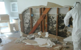 Restoration/Remediation Franchise $718K Adj EBITDA SA1755