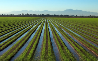 Irrigation Company Family Owned for 53 years