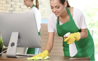 Established Cleaning Master Franchise