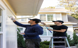 Painting (ext. & int.) - AI Proof biz & Lucrative!