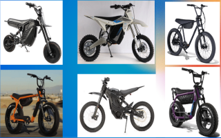 E-Bike Store: West Bloomfield, MI