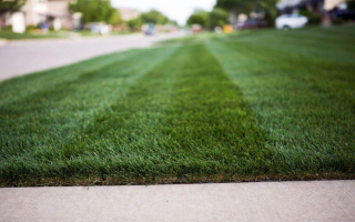 Established Absentee-Owned Outdoor Services Business. 58301