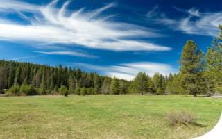 Respected Low-Speed & Utility Vehicle Dealership