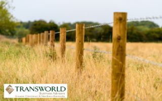 Established Wood Products Supplier with 50 Acres