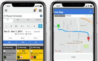 Successful Dog Walking and Pet Sitting Business