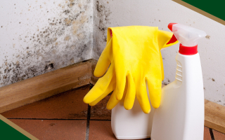 Commercial Kitchen Hood Cleaning Business